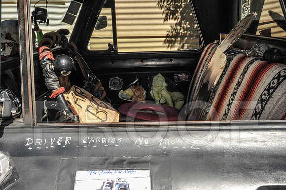 Rat Mobile (39 of 137)
