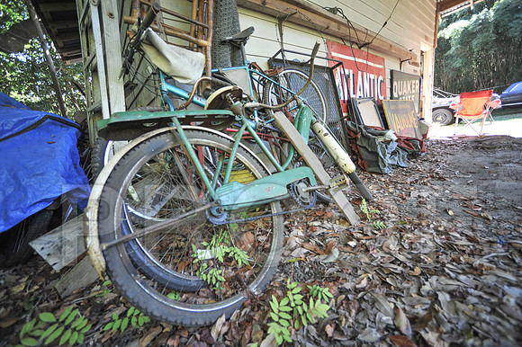 Rat Mobile (124 of 137)