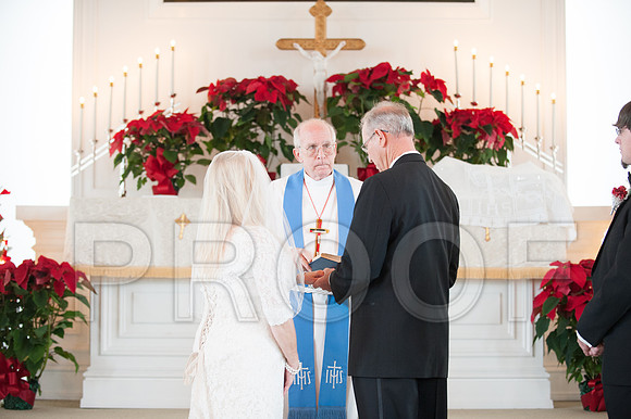 12-7-13 wedding (95 of 207)