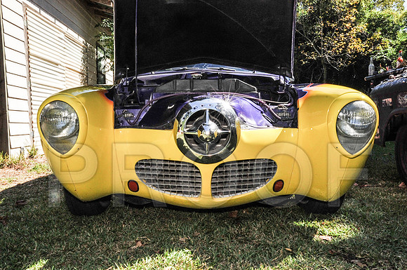 Rat Mobile (23 of 137)
