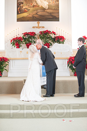 12-7-13 wedding (104 of 207)