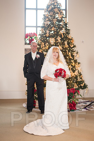 12-7-13 wedding (178 of 207)