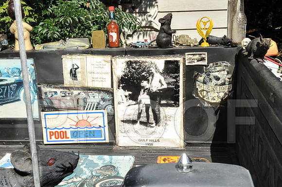 Rat Mobile (48 of 137)