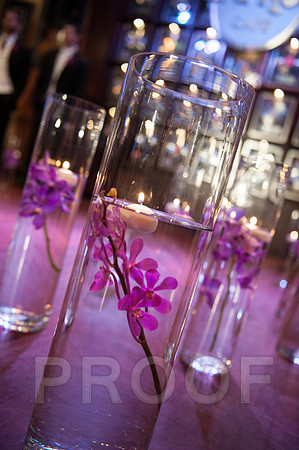 Hard Rock Bridal (59 of 225)