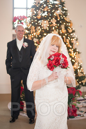 12-7-13 wedding (181 of 207)