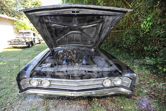 Rat Mobile (137 of 137)