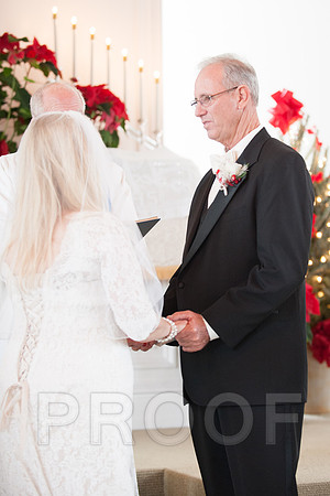 12-7-13 wedding (88 of 207)