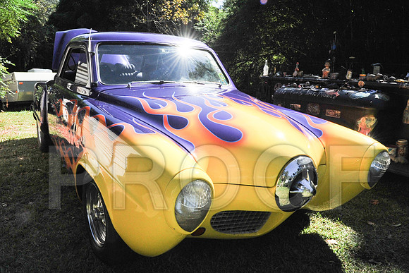 Rat Mobile (6 of 137)