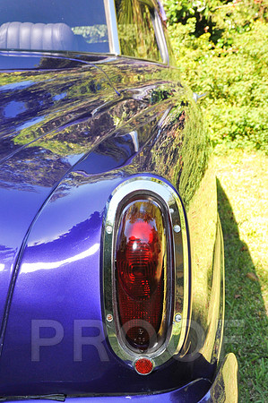 Rat Mobile (29 of 137)