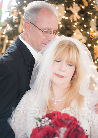 12-7-13 wedding (161 of 207)