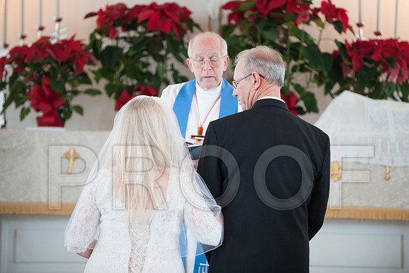 12-7-13 wedding (85 of 207)