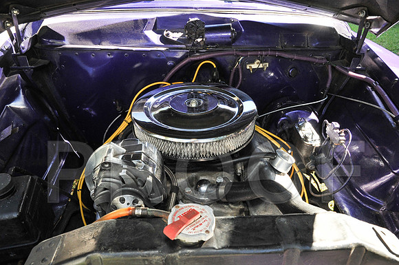 Rat Mobile (21 of 137)
