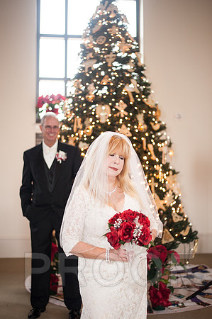 12-7-13 wedding (179 of 207)