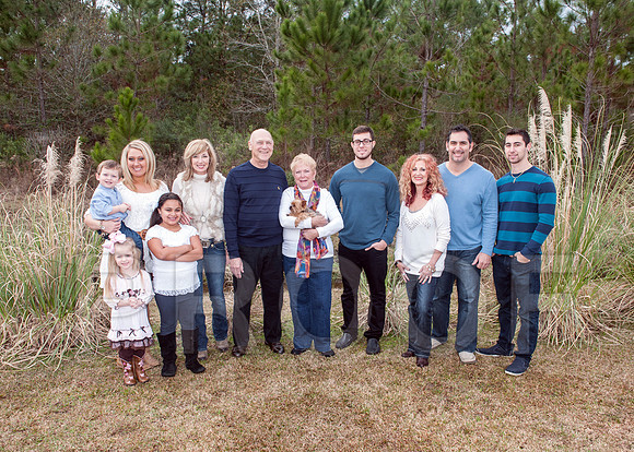 family use2a