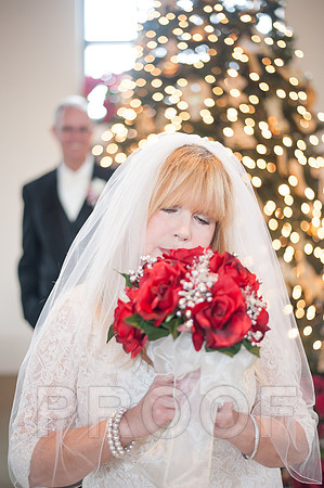 12-7-13 wedding (182 of 207)