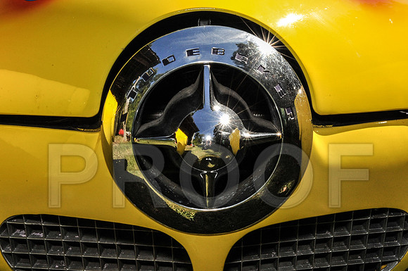 Rat Mobile (18 of 137)