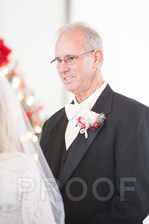 12-7-13 wedding (90 of 207)