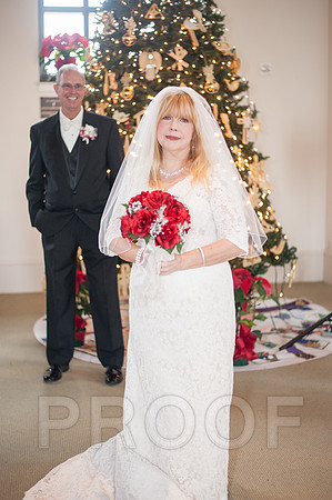12-7-13 wedding (177 of 207)