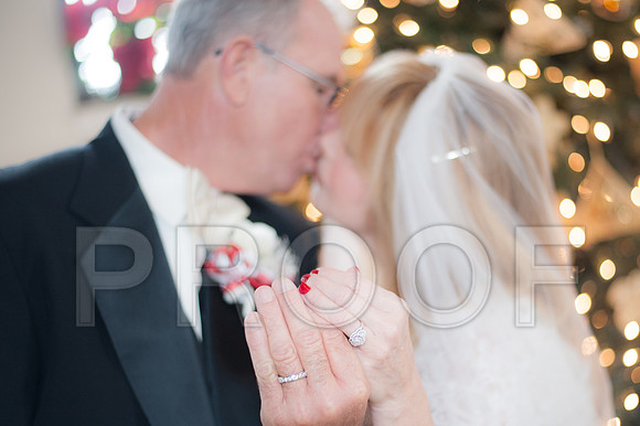12-7-13 wedding (171 of 207)