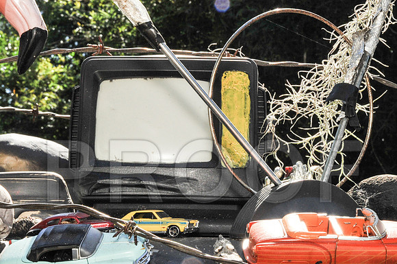 Rat Mobile (57 of 137)