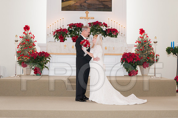 12-7-13 wedding (142 of 207)