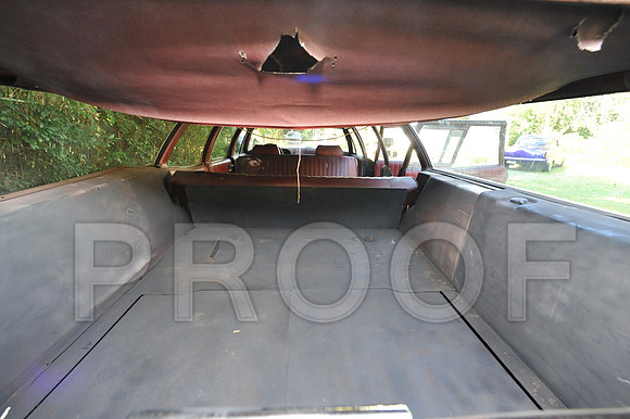 Rat Mobile (86 of 137)