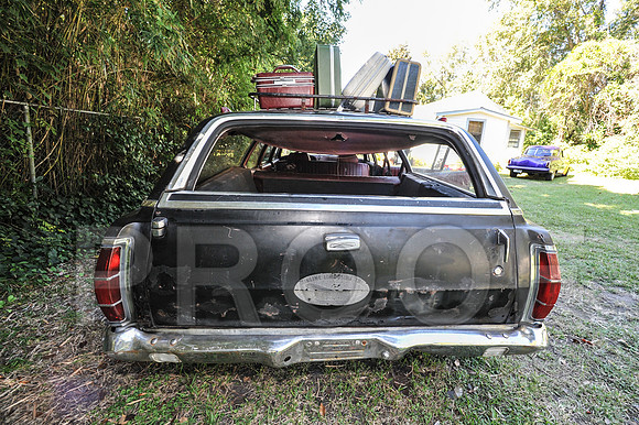 Rat Mobile (87 of 137)