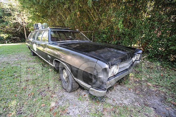 Rat Mobile (89 of 137)