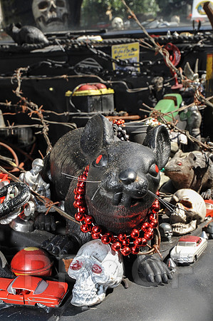 Rat Mobile (36 of 137)