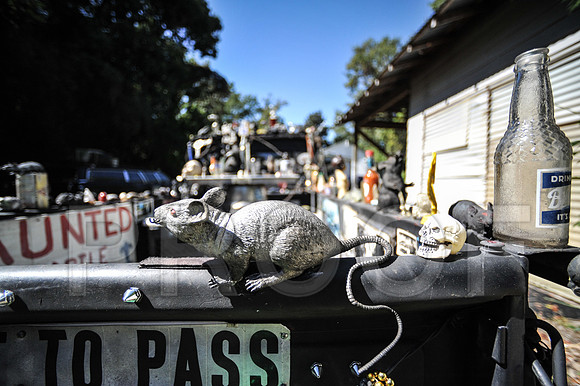 Rat Mobile (79 of 137)