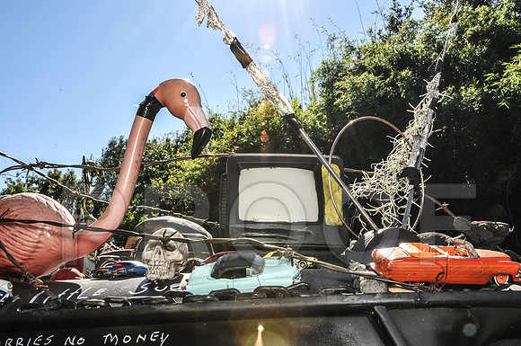 Rat Mobile (56 of 137)