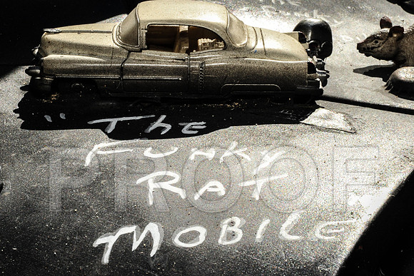 Rat Mobile (58 of 137)
