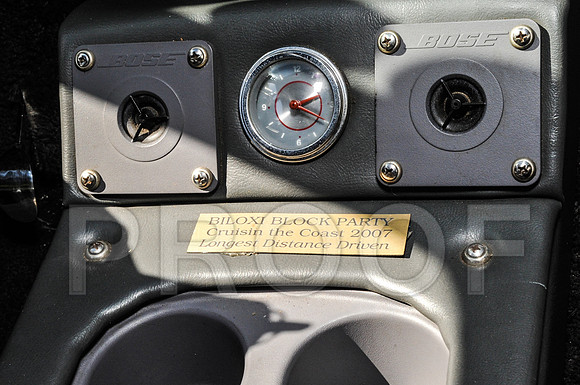Rat Mobile (14 of 137)