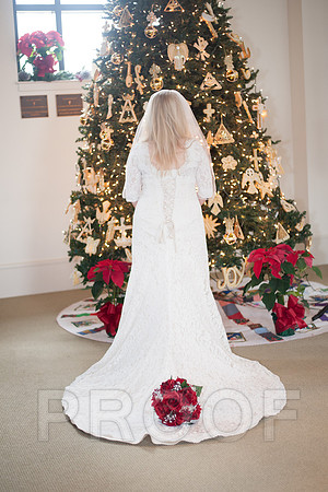 12-7-13 wedding (174 of 207)