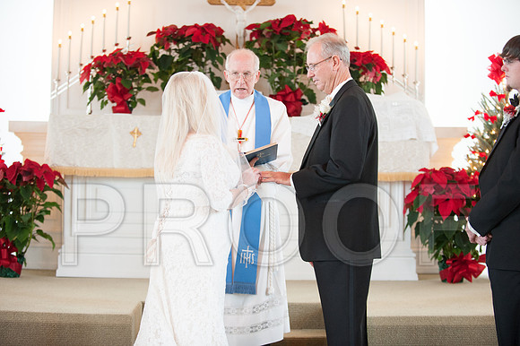 12-7-13 wedding (97 of 207)